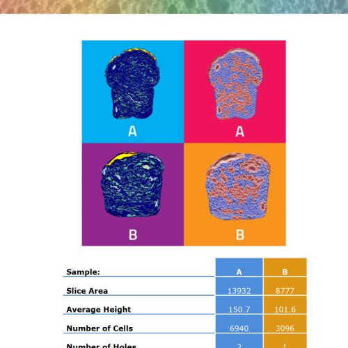 Anwendungsbeispiel für C-Cell: Analyse von Bäckereiprodukten zur Bewertung der Eigenschaften neuer Getreidesorten.