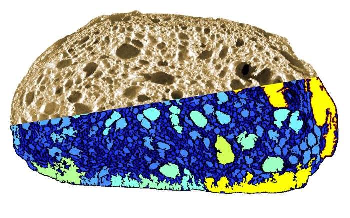 C Cell BRICOLSCALECELLSCALE 1